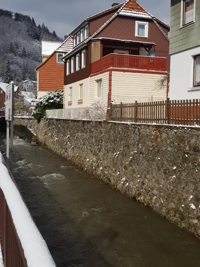 Haus Am Fluss Mit Wunderschoener Dachterrasse Mit Flussblick ,Garten Und Grill Zorge Ngoại thất bức ảnh